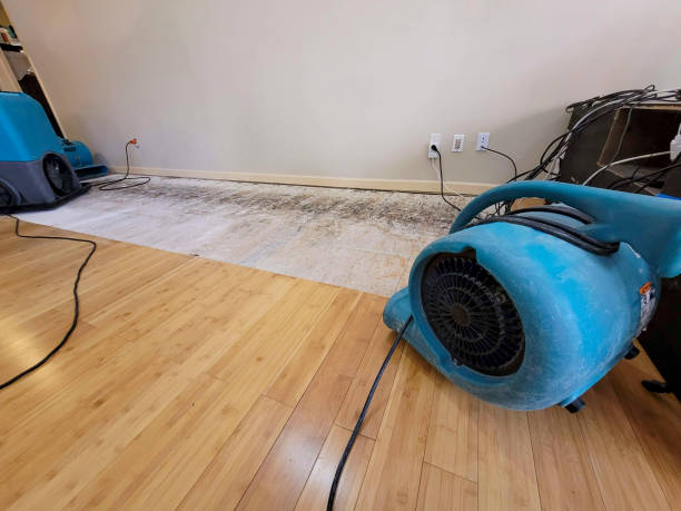 Professional Structural Drying technician working in Frost, TX